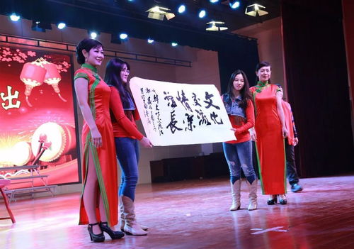 中韩童心绘未来，文化共融耀校园——中韩文化交流活动暨文艺演出在我市实验小学隆重举办