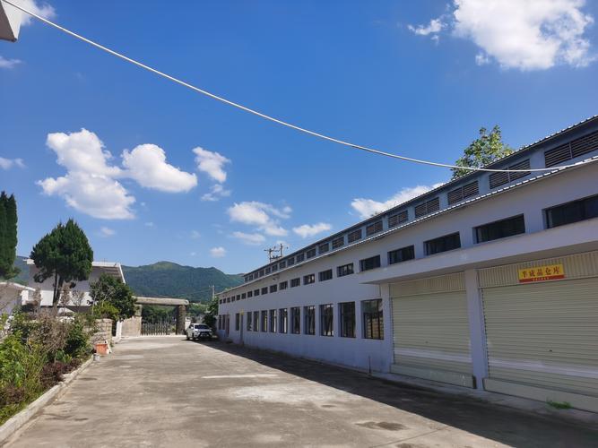 茶韵全链 从茶园到文化交响的产业新篇